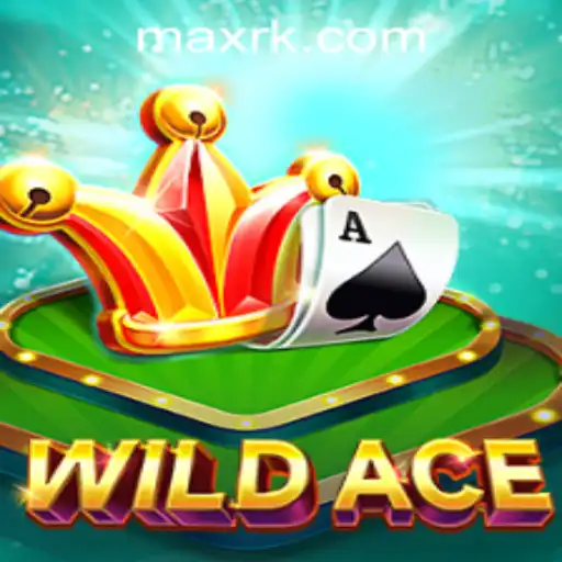 Exploring the Excitement of WildAce at RK MAX CASINO